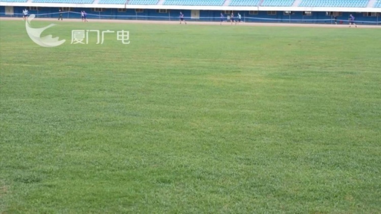 厦门市体育中心启动硬件升级 40天工期对标闽超标准