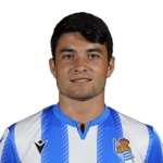 阿里茨·阿尔达索罗