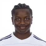 约翰尼·塞莱马尼